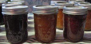 Grape jelly, peach jam, and wild plum jam.